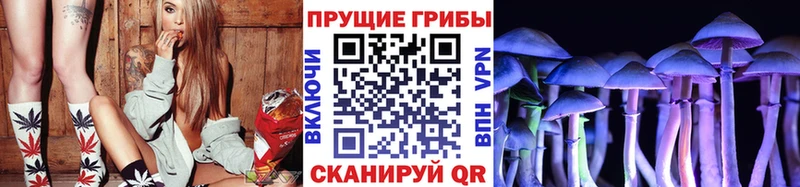 Псилоцибиновые грибы мухоморы kraken Бирюч сколько стоит